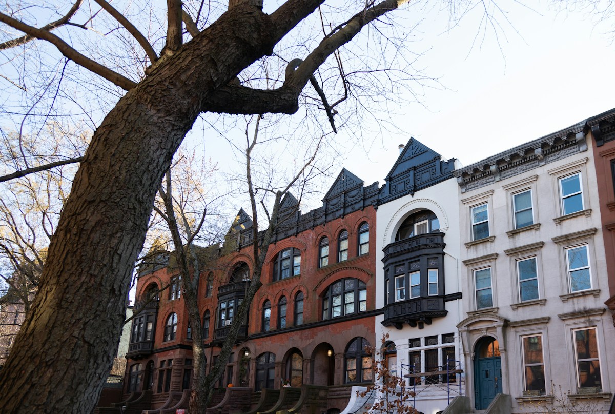 Residential buildings in Brooklyn